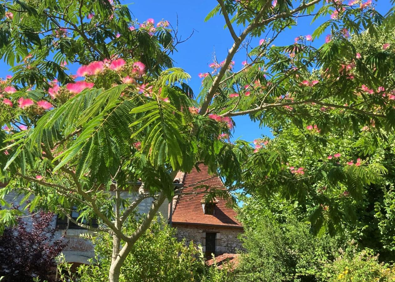 Penne-dʼAgenais La Bastide Portoly B&B "Pruneaux" מראה חיצוני תמונה