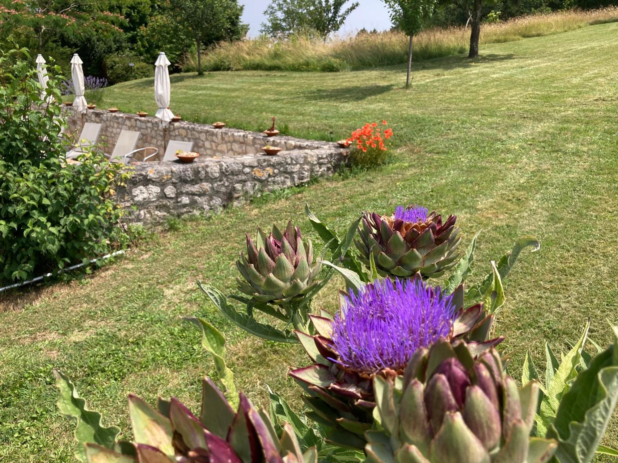 Penne-dʼAgenais La Bastide Portoly B&B "Pruneaux" מראה חיצוני תמונה